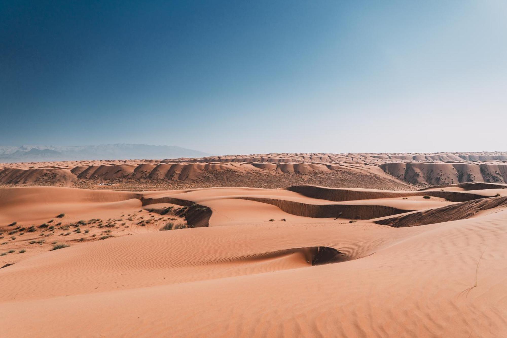Hamood Desert Private Camp Al Wāşil Eksteriør bilde
