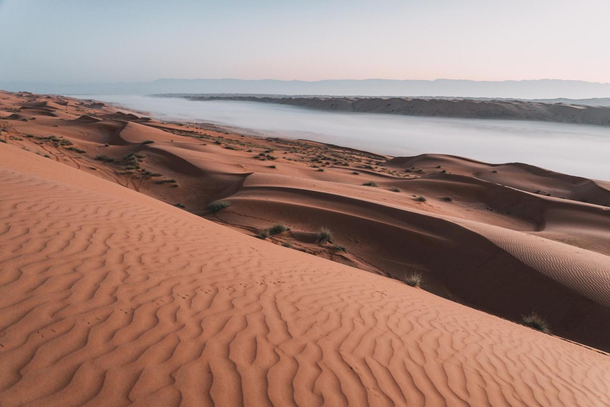 Hamood Desert Private Camp Hotell Al Wāşil Eksteriør bilde