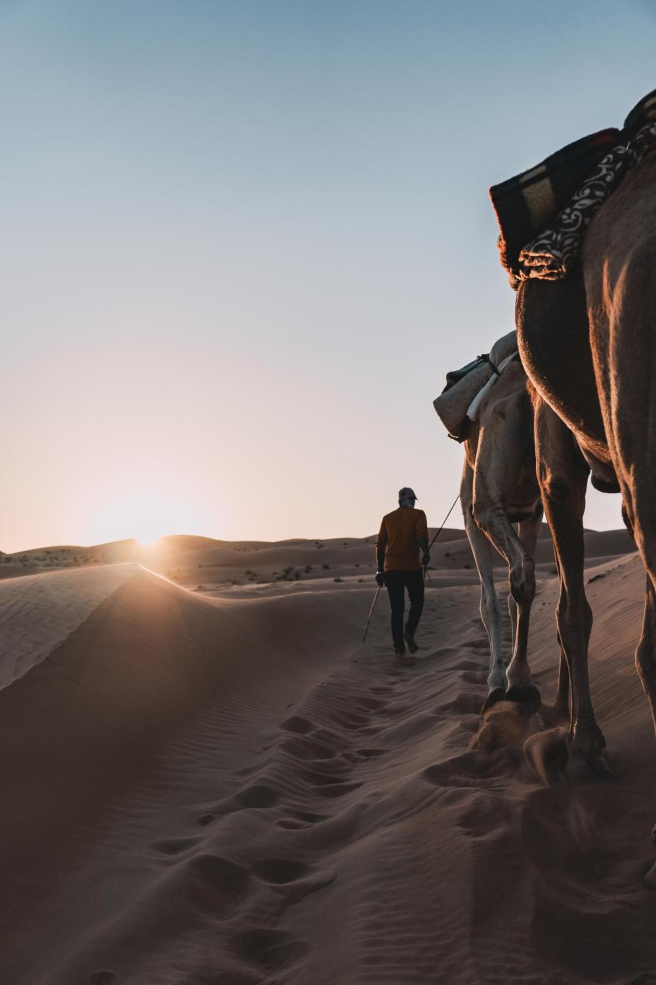 Hamood Desert Private Camp Al Wāşil Eksteriør bilde