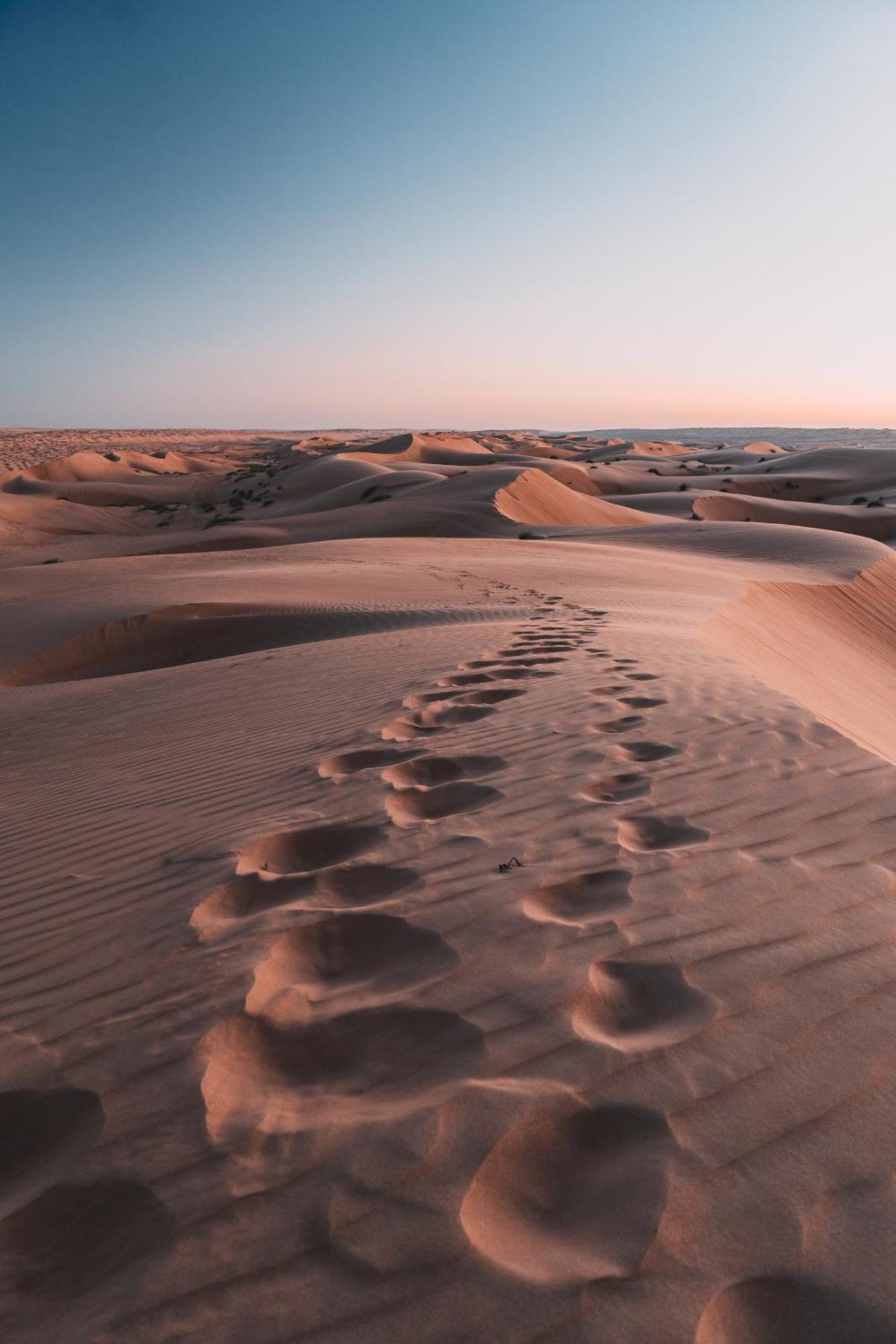 Hamood Desert Private Camp Hotell Al Wāşil Eksteriør bilde