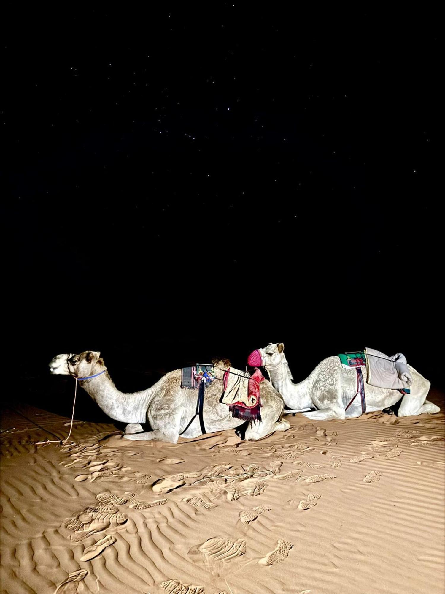 Hamood Desert Private Camp Al Wāşil Eksteriør bilde